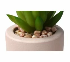 Les meilleures critiques de ⌛ LINEA NATURA Pot cactus en ciment H. 15 cm SEATTLE Nude ❤️ 13 Les meilleures critiques de ⌛ LINEA NATURA Pot cactus en ciment H. 15 cm SEATTLE Nude ❤️ -Linea Natura Soldes 2023 2099901390950 D
