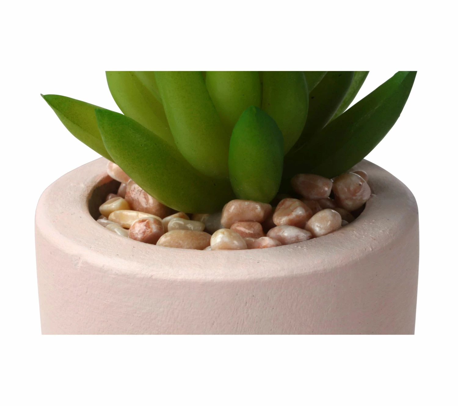 Les meilleures critiques de ⌛ LINEA NATURA Pot cactus en ciment H. 15 cm SEATTLE Nude ❤️ 5 Les meilleures critiques de ⌛ LINEA NATURA Pot cactus en ciment H. 15 cm SEATTLE Nude ❤️ – Image 3