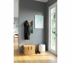 Budget 🧨 LINEA NATURA Image 50x70 cm EUCALYPTUS Blanc / Vert / Naturel ✨ 27 Budget 🧨 LINEA NATURA Image 50x70 cm EUCALYPTUS Blanc / Vert / Naturel ✨ -Linea Natura Soldes 2023 3446035938067 AMB3D 172897