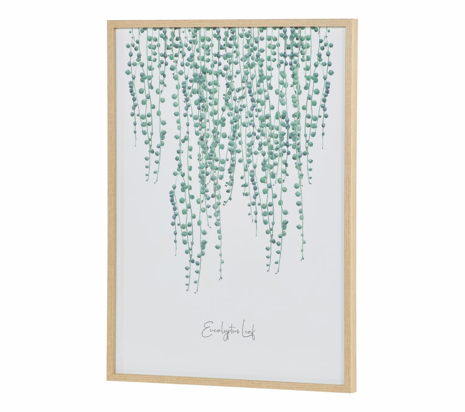 Budget 🧨 LINEA NATURA Image 50x70 cm EUCALYPTUS Blanc / Vert / Naturel ✨ 6 Budget 🧨 LINEA NATURA Image 50x70 cm EUCALYPTUS Blanc / Vert / Naturel ✨ – Image 4