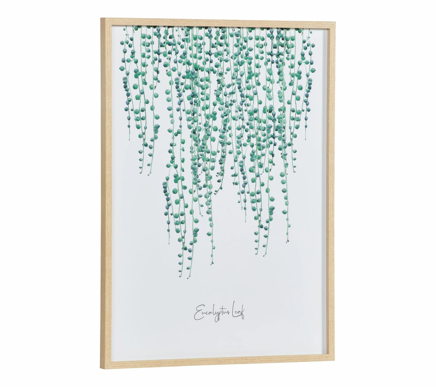 Budget 🧨 LINEA NATURA Image 50x70 cm EUCALYPTUS Blanc / Vert / Naturel ✨ 5 Budget 🧨 LINEA NATURA Image 50x70 cm EUCALYPTUS Blanc / Vert / Naturel ✨ – Image 3